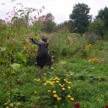 How to Learn Permaculture for Free