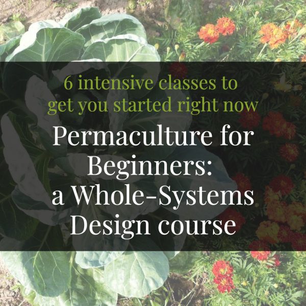 Online Permaculture Design Courses